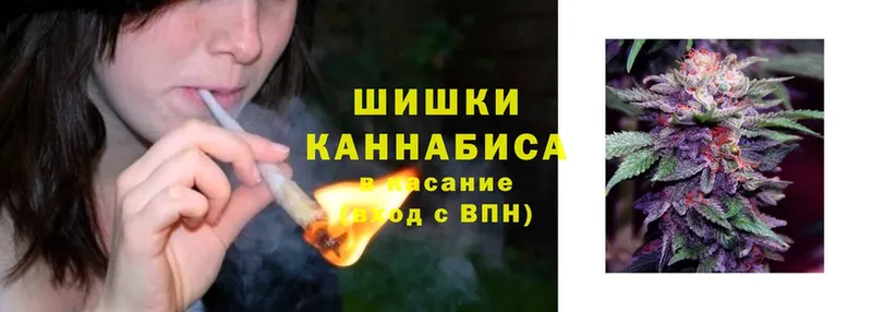 как найти наркотики  Всеволожск  Марихуана Ganja 